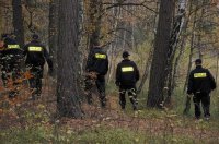 Policjanci w trakcie poszukiwań na terenie leśnym